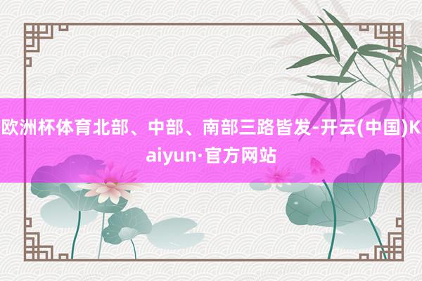 欧洲杯体育北部、中部、南部三路皆发-开云(中国)Kaiyun·官方网站
