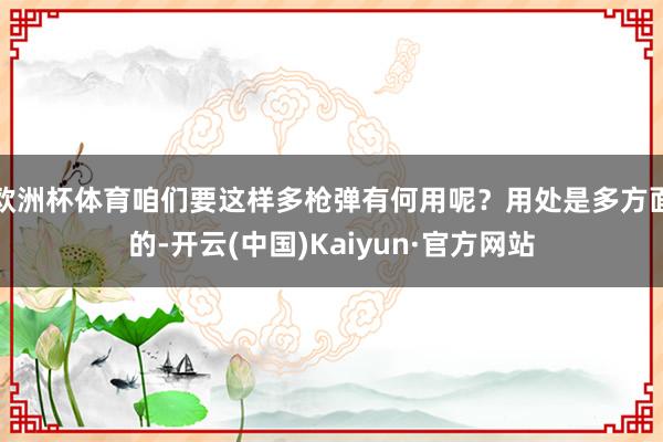欧洲杯体育咱们要这样多枪弹有何用呢？用处是多方面的-开云(中国)Kaiyun·官方网站