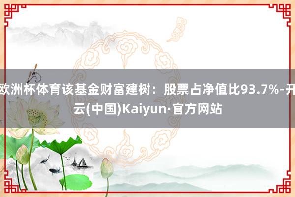 欧洲杯体育该基金财富建树：股票占净值比93.7%-开云(中国)Kaiyun·官方网站